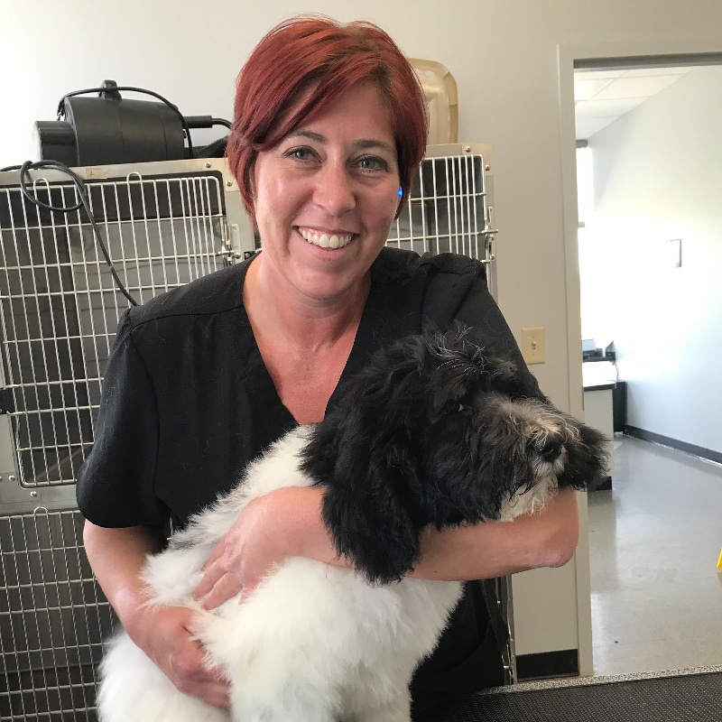 Best Local Pet Grooming Center 2 Pet Grooming Center Monroe Ohio